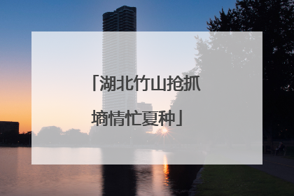 湖北竹山抢抓墒情忙夏种