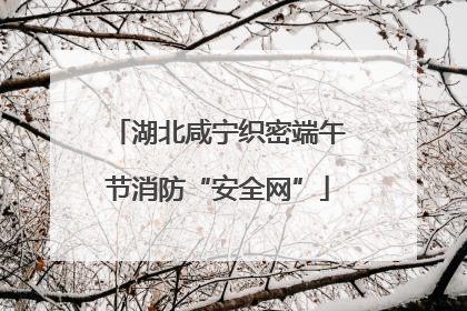 湖北咸宁织密端午节消防“安全网”