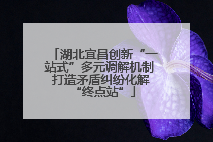 湖北宜昌创新“一站式”多元调解机制 打造矛盾纠纷化解“终点站”