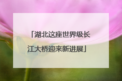 湖北这座世界级长江大桥迎来新进展