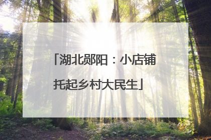 湖北郧阳：小店铺托起乡村大民生