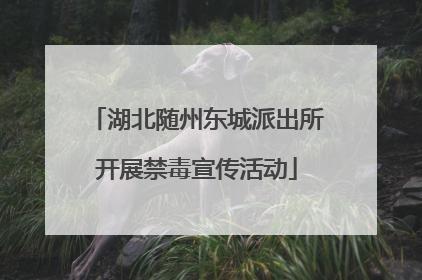 湖北随州东城派出所开展禁毒宣传活动