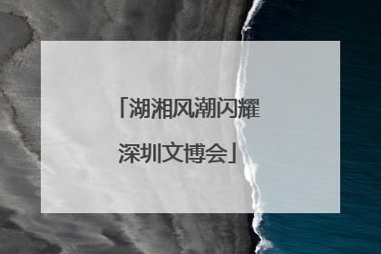 湖湘风潮闪耀深圳文博会