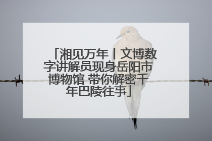 湘见万年丨文博数字讲解员现身岳阳市博物馆 带你解密千年巴陵往事