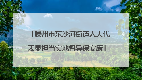 滕州市东沙河街道人大代表显担当实地督导保安康