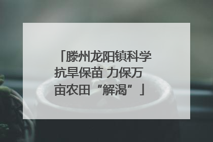滕州龙阳镇科学抗旱保苗 力保万亩农田“解渴”