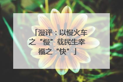 漫评：以慢火车之“慢”载民生幸福之“快”