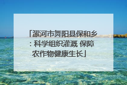 漯河市舞阳县保和乡：科学组织灌溉 保障农作物健康生长