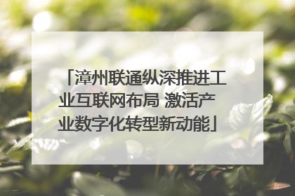 漳州联通纵深推进工业互联网布局 激活产业数字化转型新动能