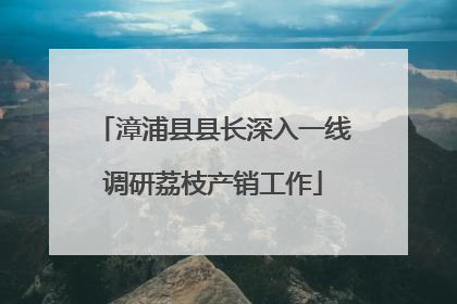 漳浦县县长深入一线调研荔枝产销工作
