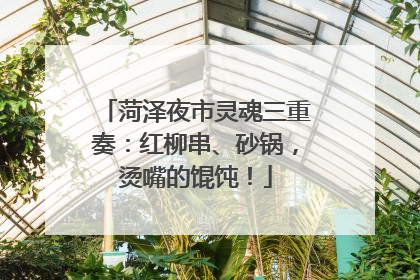 菏泽夜市灵魂三重奏：红柳串、砂锅，烫嘴的馄饨！