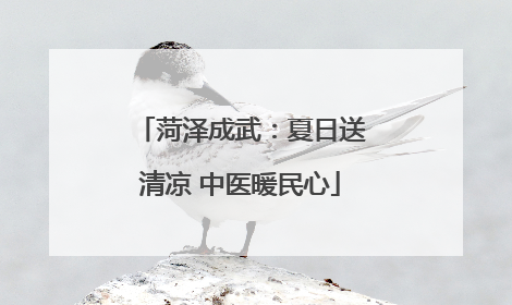 菏泽成武：夏日送清凉 中医暖民心