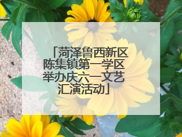 菏泽鲁西新区陈集镇第一学区举办庆六一文艺汇演活动