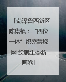 菏泽鲁西新区陈集镇：“四位一体”织密禁烧网 绘就生态新画卷
