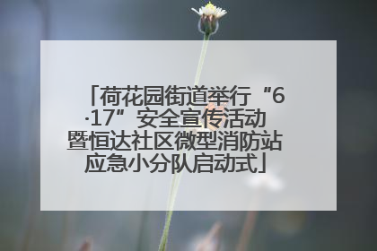 荷花园街道举行“6·17”安全宣传活动暨恒达社区微型消防站应急小分队启动式