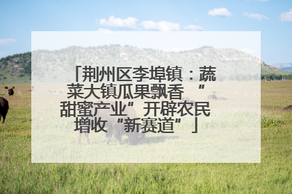 荆州区李埠镇：蔬菜大镇瓜果飘香 “甜蜜产业”开辟农民增收“新赛道”