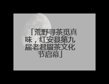 荒野寻茶觅真味，红安县第九届老君眉茶文化节启幕
