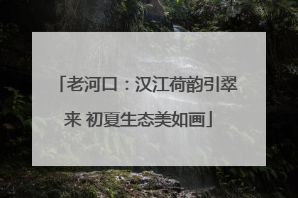 老河口：汉江荷韵引翠来 初夏生态美如画