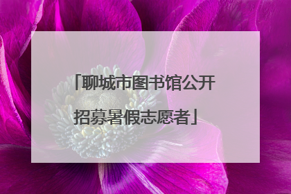 聊城市图书馆公开招募暑假志愿者