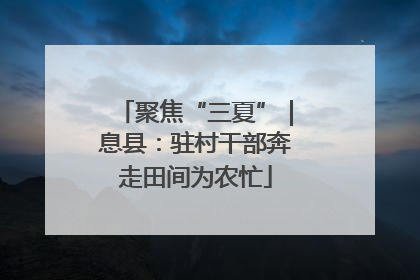 聚焦“三夏”｜息县：驻村干部奔走田间为农忙