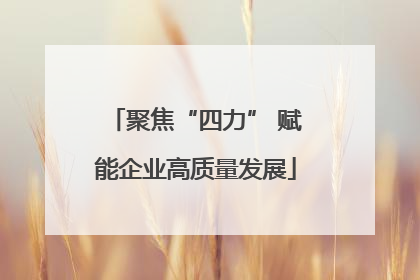 聚焦“四力” 赋能企业高质量发展