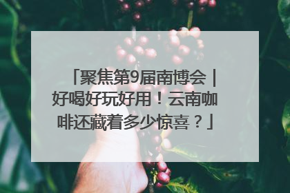 聚焦第9届南博会｜好喝好玩好用！云南咖啡还藏着多少惊喜？