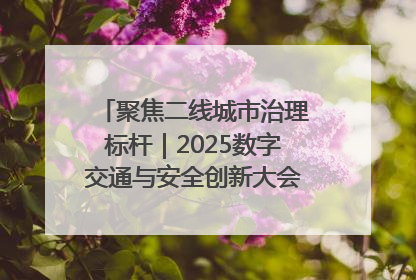 聚焦二线城市治理标杆｜2025数字交通与安全创新大会在保定隆重开幕