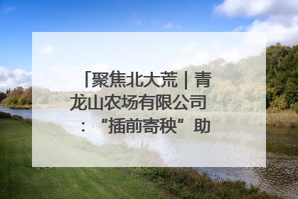聚焦北大荒｜青龙山农场有限公司：“插前寄秧”助力农业节本增效