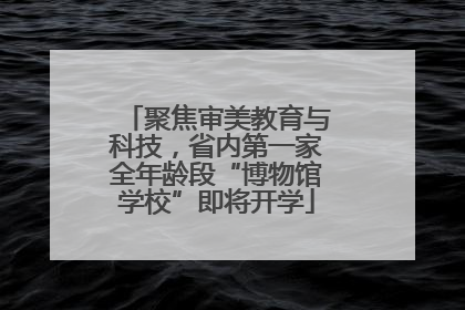 聚焦审美教育与科技，省内第一家全年龄段“博物馆学校”即将开学