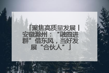 聚焦高质量发展丨安徽滁州：“融圈进群”借东风，当好发展“合伙人”