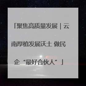 聚焦高质量发展｜云南厚植发展沃土 做民企“最好合伙人”