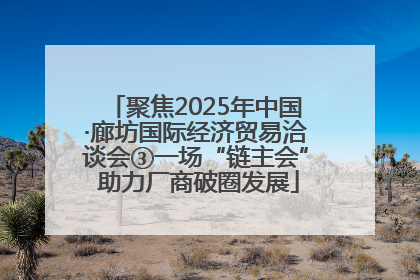 聚焦2025年中国·廊坊国际经济贸易洽谈会③一场“链主会” 助力厂商破圈发展
