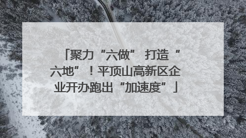 聚力“六做” 打造“六地”！平顶山高新区企业开办跑出“加速度”