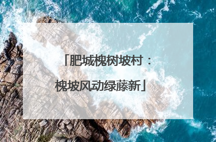 肥城槐树坡村：槐坡风动绿藤新
