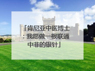 肯尼亚中医博士：我愿做一根联通中非的银针