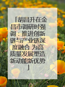 胡昌升在金昌市调研时强调:推进创新链与产业链深度融合 为高质量发展塑造新动能新优势