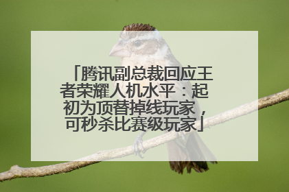 腾讯副总裁回应王者荣耀人机水平：起初为顶替掉线玩家，可秒杀比赛级玩家