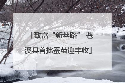 致富“新丝路” 苍溪县首批蚕茧迎丰收