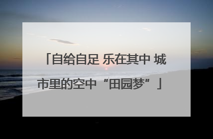自给自足 乐在其中 城市里的空中“田园梦”