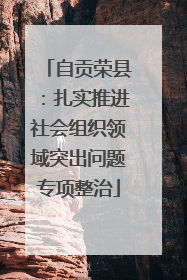 自贡荣县：扎实推进社会组织领域突出问题专项整治