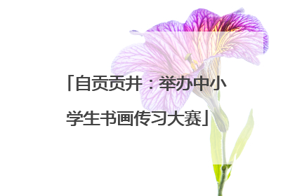 自贡贡井：举办中小学生书画传习大赛