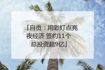 自贡：用彩灯点亮夜经济 签约11个总投资超9亿