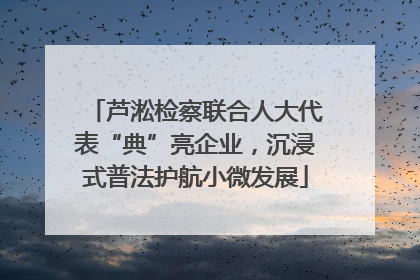 芦淞检察联合人大代表“典”亮企业，沉浸式普法护航小微发展