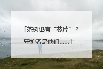 茶树也有“芯片”？守护者是他们……
