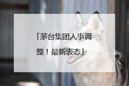 茅台集团人事调整！最新表态