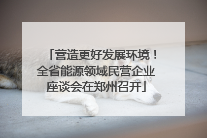 营造更好发展环境！全省能源领域民营企业座谈会在郑州召开