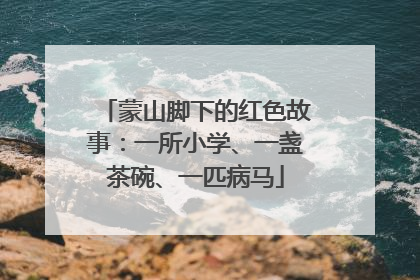 蒙山脚下的红色故事：一所小学、一盏茶碗、一匹病马