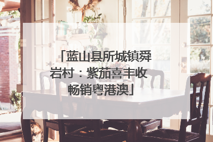 蓝山县所城镇舜岩村：紫茄喜丰收 畅销粤港澳