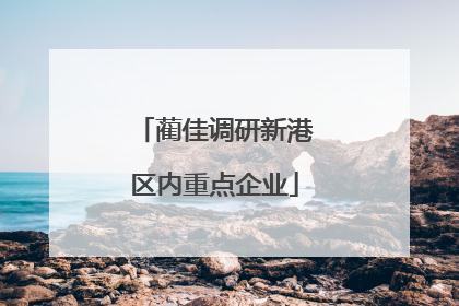 蔺佳调研新港区内重点企业