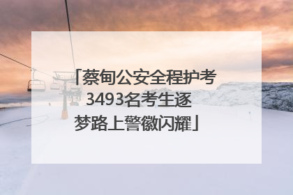 蔡甸公安全程护考 3493名考生逐梦路上警徽闪耀